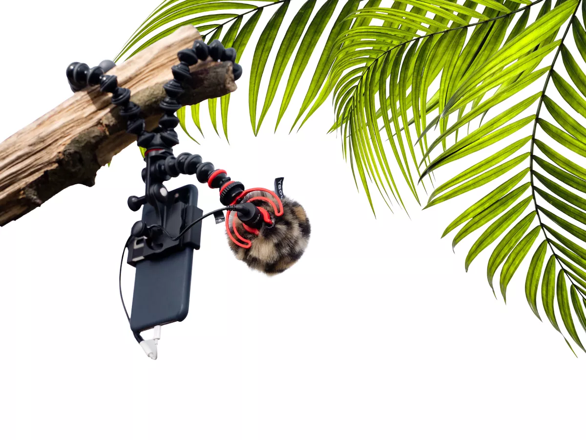 Joby Gorillapod 3k kit Tripod Hanging a Tree